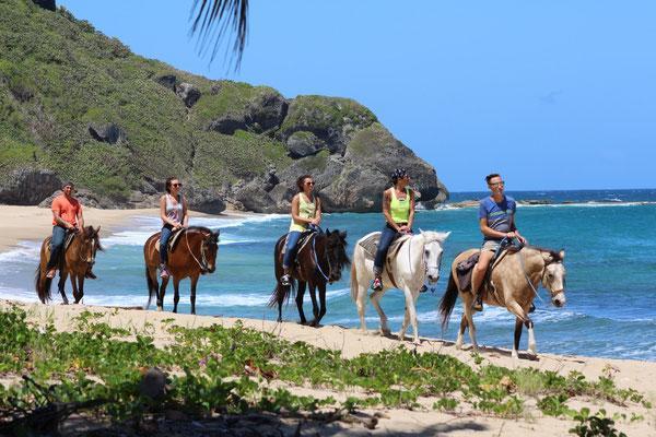 Tres Palmas Inn And Villas Ринкон Екстериор снимка