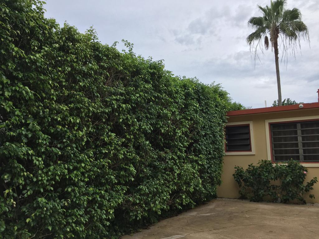 Tres Palmas Inn And Villas Ринкон Екстериор снимка